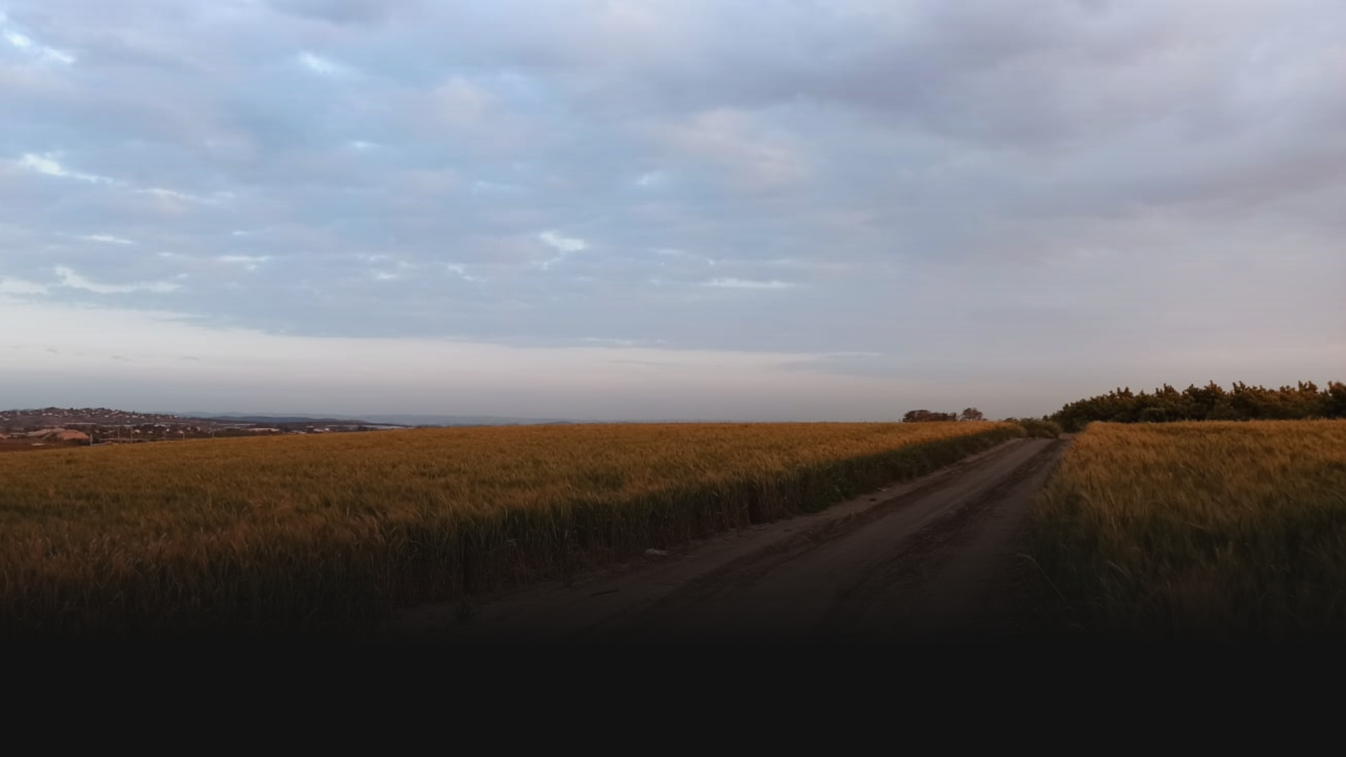 bg-img